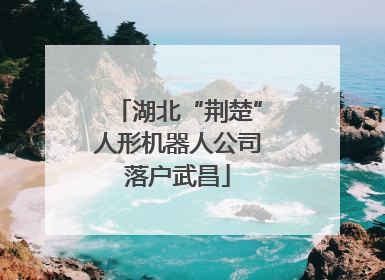 湖北“荆楚”人形机器人公司落户武昌