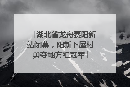 湖北省龙舟赛阳新站闭幕，阳新下屋村勇夺地方组冠军