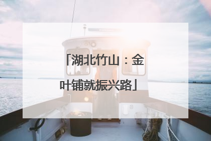 湖北竹山：金叶铺就振兴路