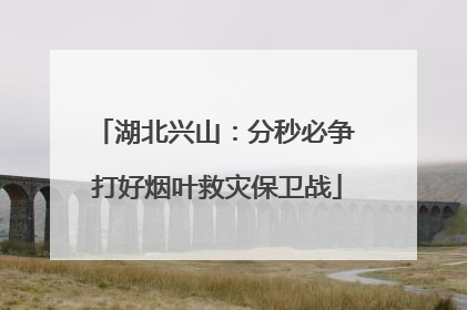 湖北兴山：分秒必争 打好烟叶救灾保卫战