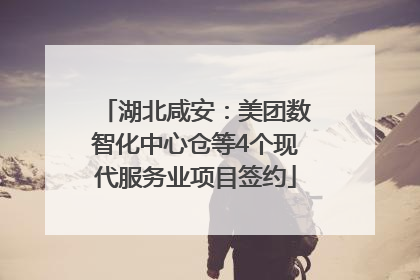 湖北咸安：美团数智化中心仓等4个现代服务业项目签约