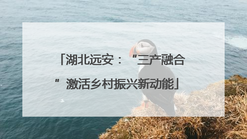 湖北远安：“三产融合”激活乡村振兴新动能