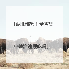 湖北部署！全省集中整治违规吃喝