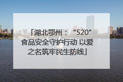 湖北鄂州：“520”食品安全守护行动 以爱之名筑牢民生防线