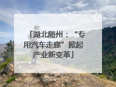 湖北随州：“专用汽车走廊”掀起产业新变革