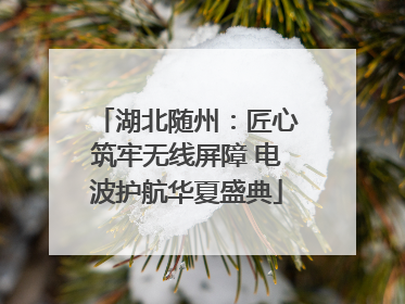 湖北随州：匠心筑牢无线屏障 电波护航华夏盛典