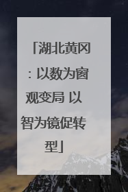 湖北黄冈：以数为窗观变局 以智为镜促转型