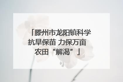 滕州市龙阳镇科学抗旱保苗 力保万亩农田“解渴”