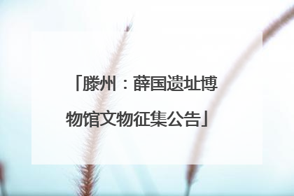 滕州：薛国遗址博物馆文物征集公告