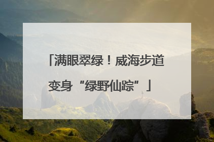满眼翠绿！威海步道变身“绿野仙踪”