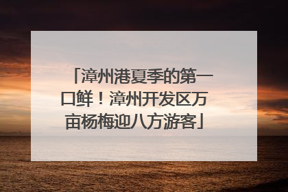 漳州港夏季的第一口鲜！漳州开发区万亩杨梅迎八方游客