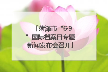 菏泽市“6·9”国际档案日专题新闻发布会召开