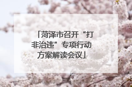 菏泽市召开“打非治违”专项行动方案解读会议