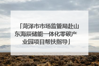 菏泽市市场监管局赴山东海辰储能一体化零碳产业园项目帮扶指导