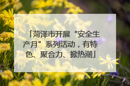 菏泽市开展“安全生产月”系列活动，有特色、聚合力、掀热潮