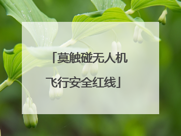 莫触碰无人机飞行安全红线