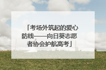 考场外筑起的爱心防线——向日葵志愿者协会护航高考