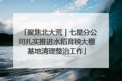 聚焦北大荒｜七星分公司扎实推进水稻育秧大棚基地清理整治工作