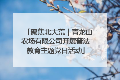 聚焦北大荒｜青龙山农场有限公司开展普法教育主题党日活动