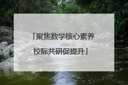 聚焦数学核心素养 校际共研促提升