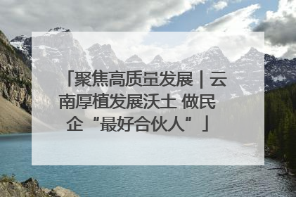 聚焦高质量发展｜云南厚植发展沃土 做民企“最好合伙人”