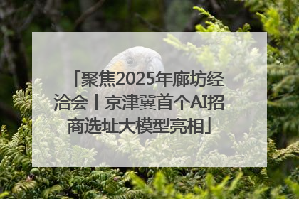 聚焦2025年廊坊经洽会丨京津冀首个AI招商选址大模型亮相