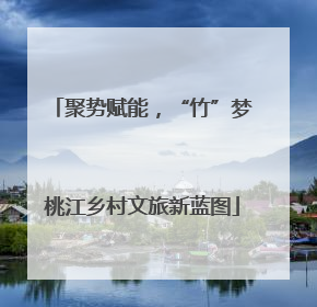 聚势赋能，“竹”梦桃江乡村文旅新蓝图