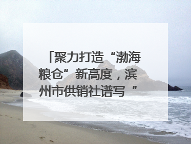 聚力打造“渤海粮仓”新高度，滨州市供销社谱写“三夏”丰收乐章