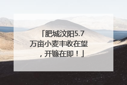 肥城汶阳5.7万亩小麦丰收在望，开镰在即！