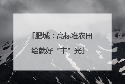 肥城：高标准农田绘就好“丰”光