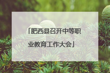 肥西县召开中等职业教育工作大会