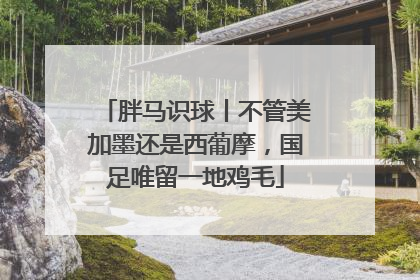 胖马识球丨不管美加墨还是西葡摩，国足唯留一地鸡毛