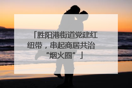胜阳港街道党建红纽带，串起商居共治 “烟火圈”