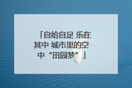 自给自足 乐在其中 城市里的空中“田园梦”