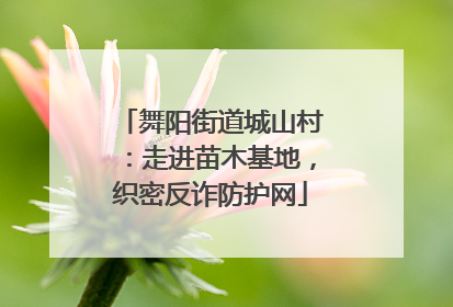 舞阳街道城山村：走进苗木基地，织密反诈防护网
