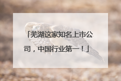 芜湖这家知名上市公司，中国行业第一！