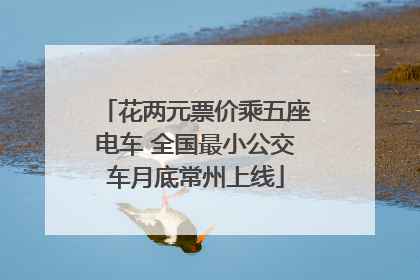 花两元票价乘五座电车 全国最小公交车月底常州上线