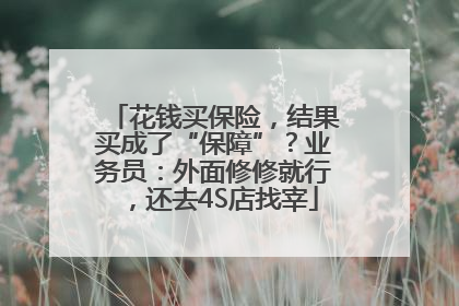 花钱买保险，结果买成了“保障”？业务员：外面修修就行，还去4S店找宰