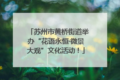 苏州市黄桥街道举办“花语永恒·微景大观”文化活动！