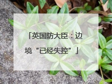 英国防大臣：边境“已经失控”