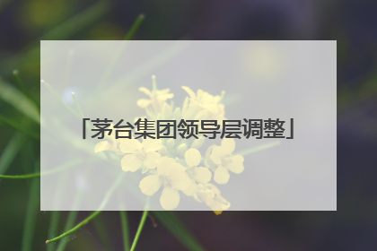 茅台集团领导层调整