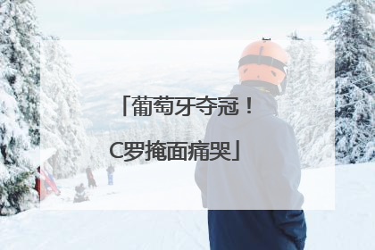 葡萄牙夺冠！C罗掩面痛哭