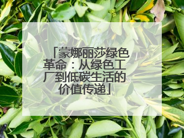 蒙娜丽莎绿色革命：从绿色工厂到低碳生活的价值传递