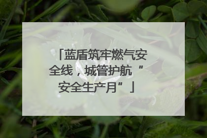 蓝盾筑牢燃气安全线，城管护航“安全生产月”