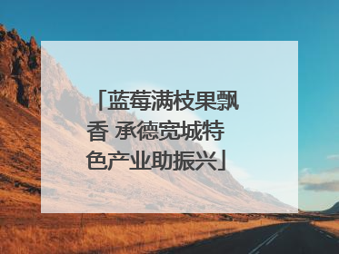 蓝莓满枝果飘香 承德宽城特色产业助振兴