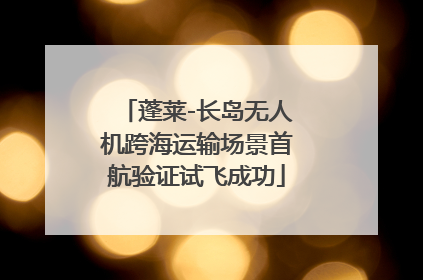 蓬莱-长岛无人机跨海运输场景首航验证试飞成功