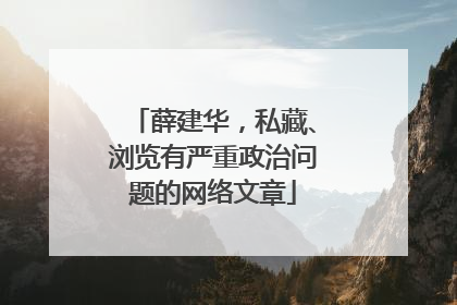 薛建华，私藏、浏览有严重政治问题的网络文章