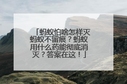 蚂蚁怕啥怎样灭蚂蚁不留痕？蚂蚁用什么药能彻底消灭？答案在这！