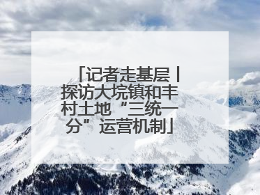 记者走基层丨探访大垸镇和丰村土地“三统一分”运营机制