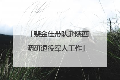 裴金佳带队赴陕西调研退役军人工作